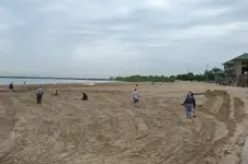 Swinging.webp