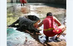 Crocfarm 2.webp
