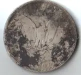 silver dollar b.webp