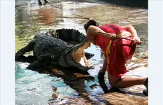 Crocfarm 5.webp