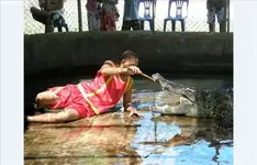 Crocfarm 8.webp