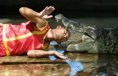 Crocfarm 9.webp