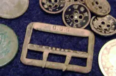 buckle buttons.webp