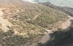 Sugarloaf 06.webp