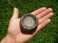 P6271276_resize.webp