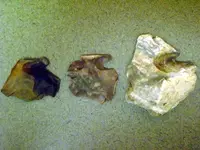 DSC00606.webp