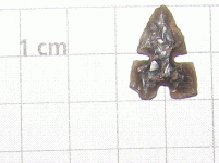 ProjctPoint7.GIF