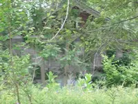 DSCF0052.webp