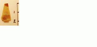 ProjctPoint1.GIF