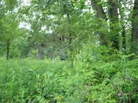 DSCF0051.webp
