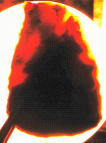 ImplementTranslucent.GIF