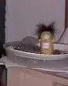 Stuff007.webp