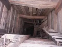 100_1955.webp