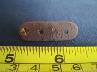 sasnz. copper thing.two.2.08.09.webp