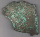 bell fragment 100dpi.webp