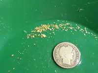 GOLD 5-30-09.webp