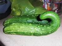 whalecuke.webp