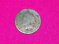 IH Penny.webp