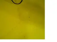 steam cleaning.webp