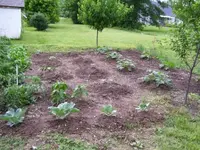 100_0303.webp