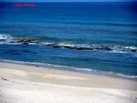 tc02.webp