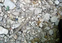 Arrowhead Side Notch In Situ.webp
