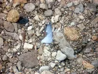 Knife 7-7-09.webp