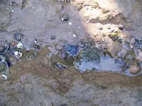 100_1672.webp