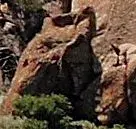 DSC_9735cropped_1_1_1.webp DSC_9735cropped_1_1_1.webp