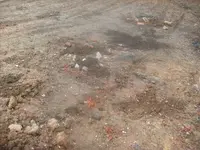S7300564.webp