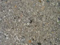 DSC04869.webp