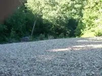 Shoreline.webp