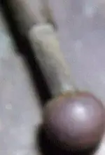 what is this 004.webp