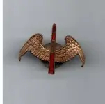 Insignia-Pin-Wings.webp