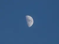 afternoon moon.webp