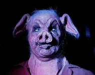 ugpig.webp