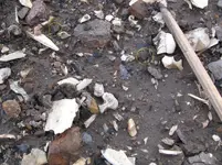 pottery.webp