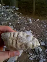 rock1.webp
