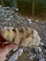 rock2.webp