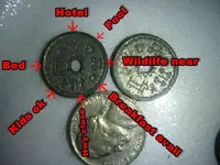 indian coin.webp