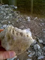 rock3.webp