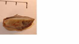 Implement5a.GIF