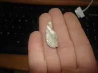 silver nugget.webp