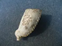 clay pipe bowl .webp