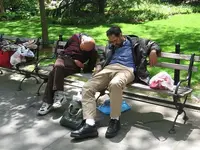 Vagabonds.webp