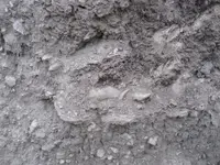IMG_7332 (Large).webp