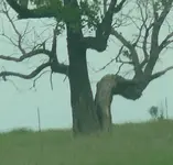 P1080431.webp