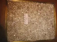 IMG_4506 (Medium).webp