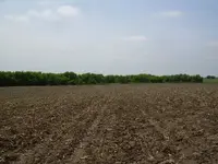 DSCN0006.webp