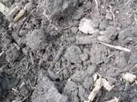 DSCN1725 (4).webp